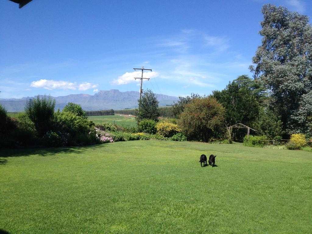 Little Acres Drakensberg Accommodation Champagne Valley エクステリア 写真