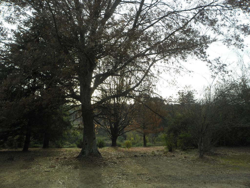 Little Acres Drakensberg Accommodation Champagne Valley エクステリア 写真
